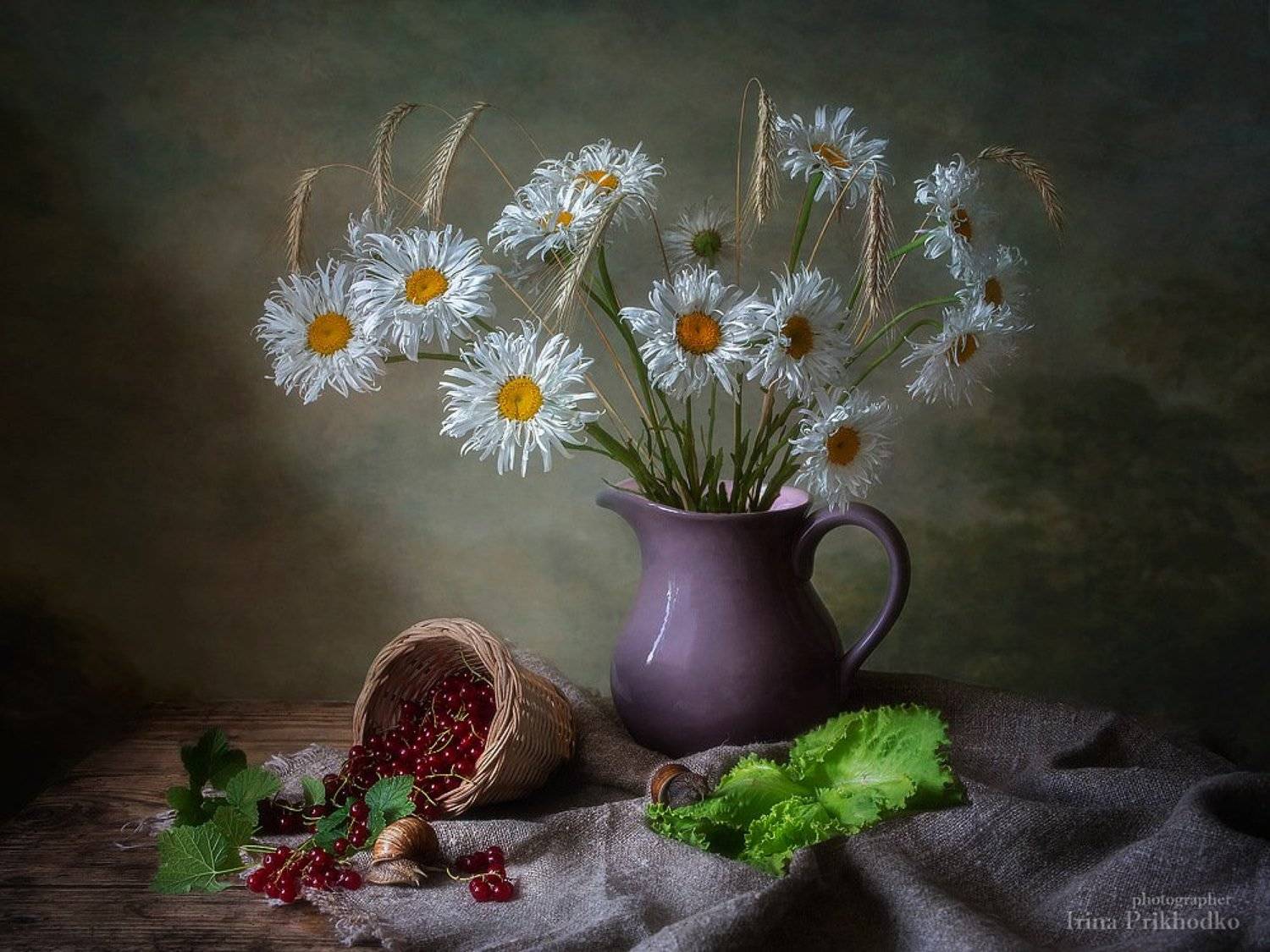 натюрморт, лето, настроение, цветы, ромашки, красная смородина, улитки, художественное фото, Ирина Приходько