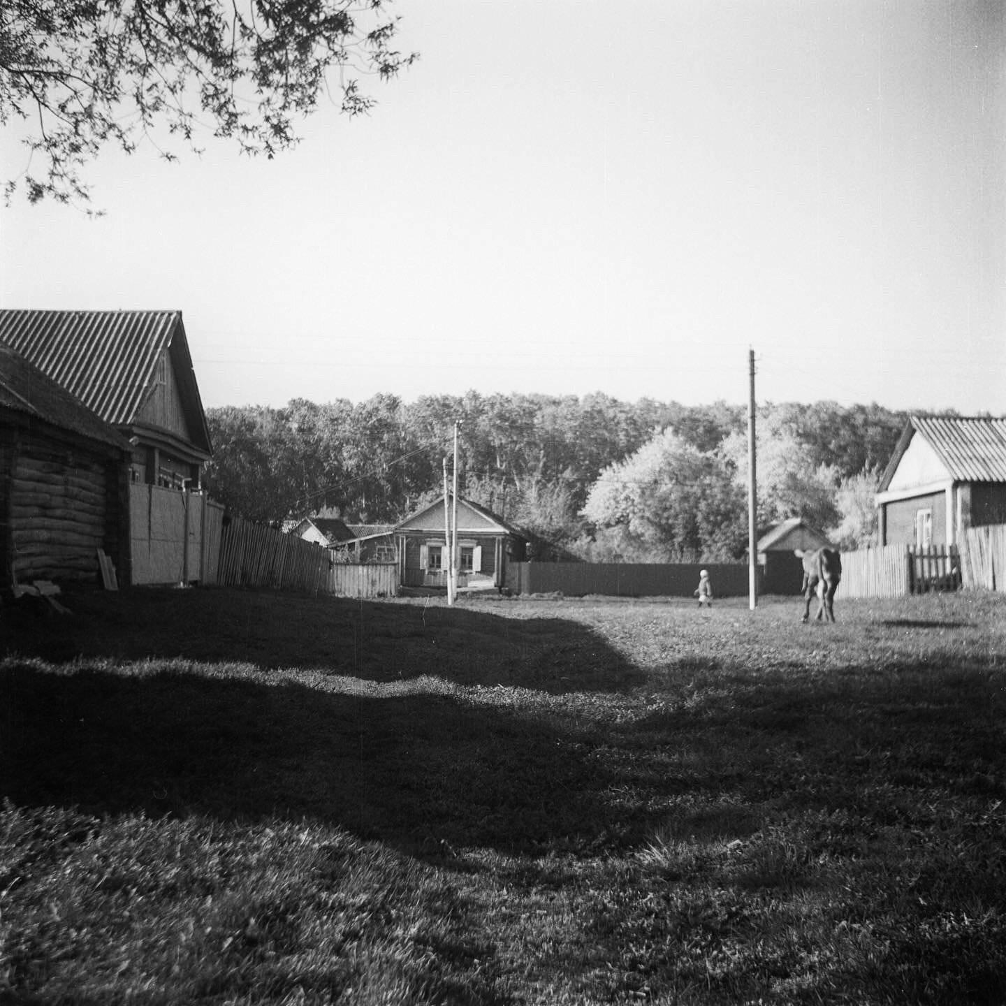 , Максим Филипов