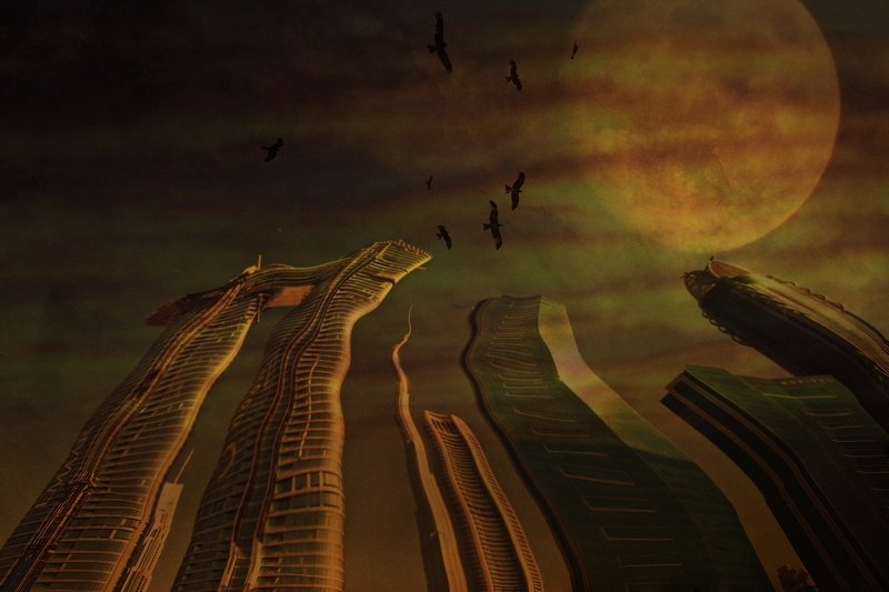 2089 фото превью