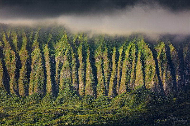 гавайи, оаху, остров, горы, фототур, пшишылны, путешествия, сша Лезвия  фото превью