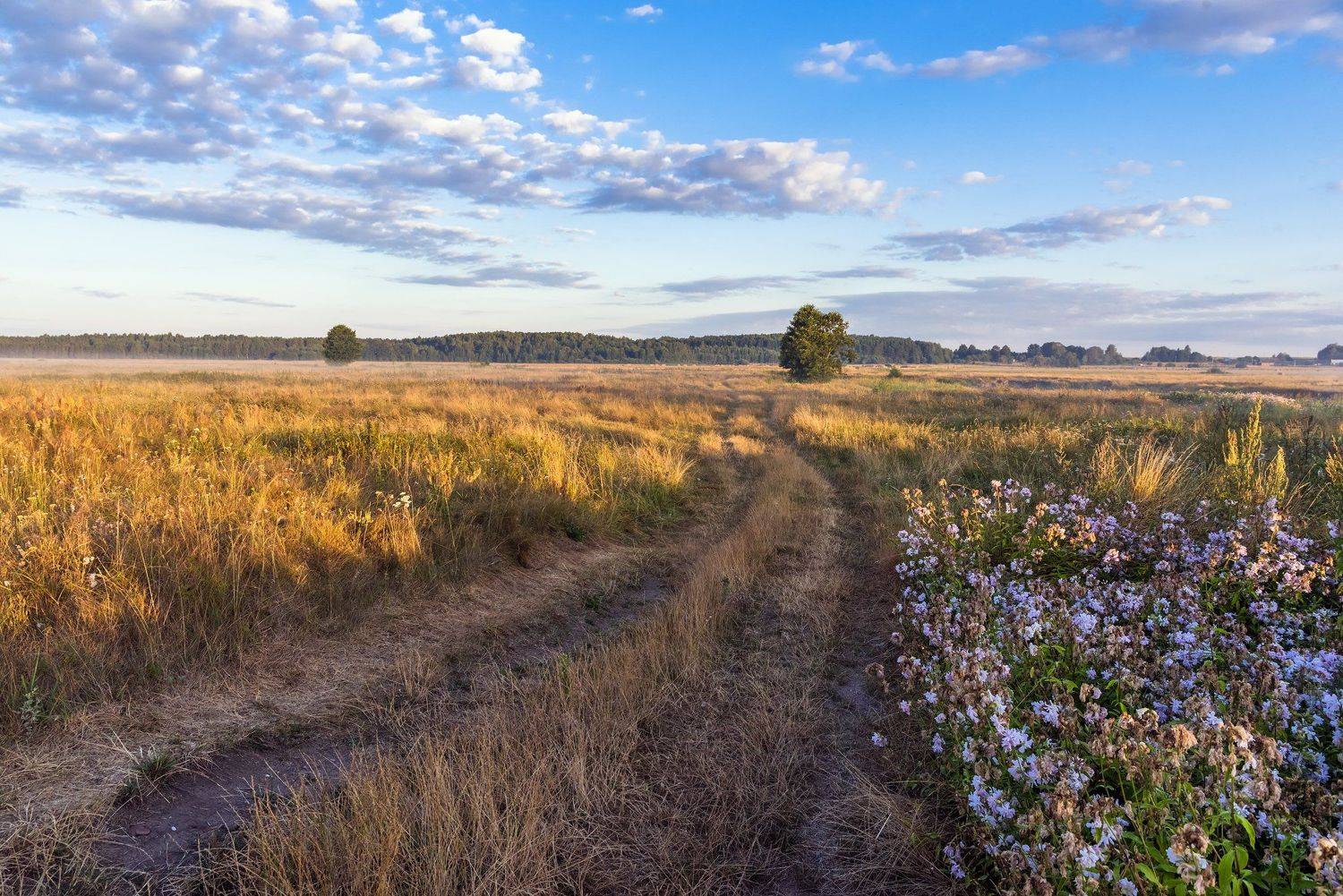 , Руслан Авдевич