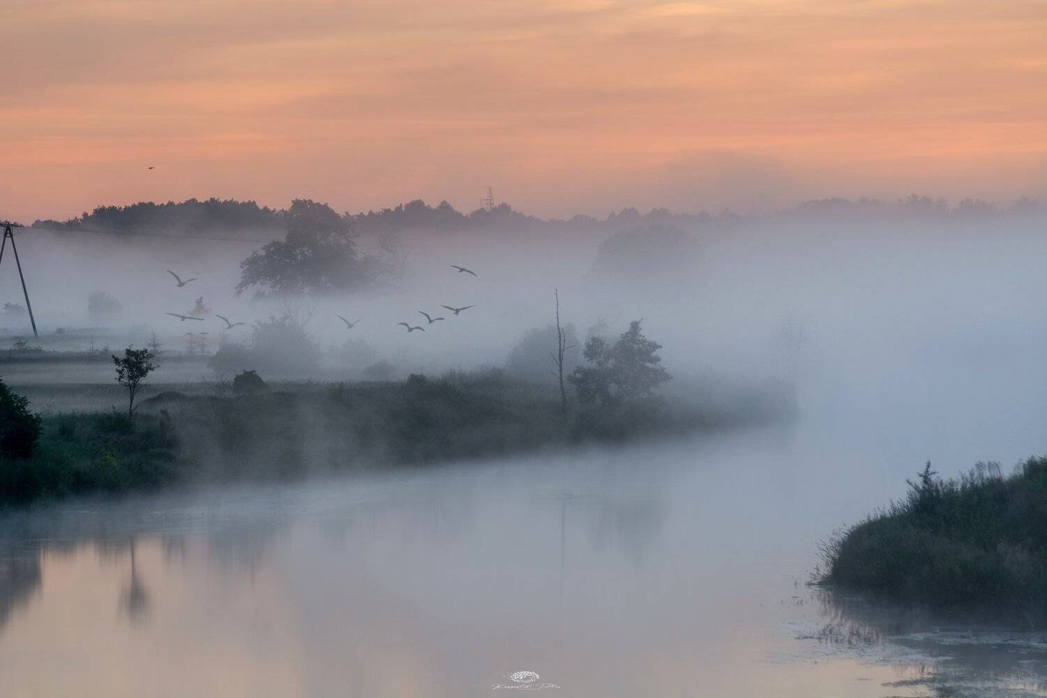 fog, nature, scenics, -, nature, water, tree, sky, beauty, in, nature, landscape, -, scenery, morning, haze, birds, eye, view, nikon, mist, light, dawn, atmosphere, Krzysztof Tollas