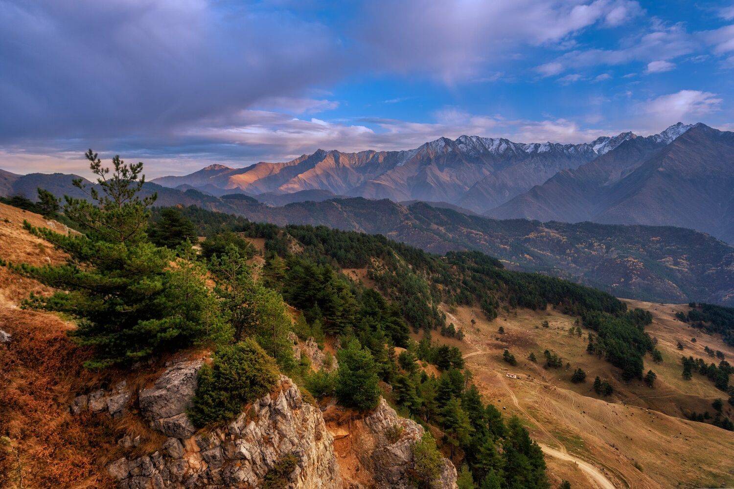 , Юлия Шумляева