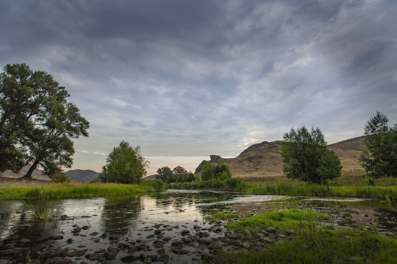 , петр чиков