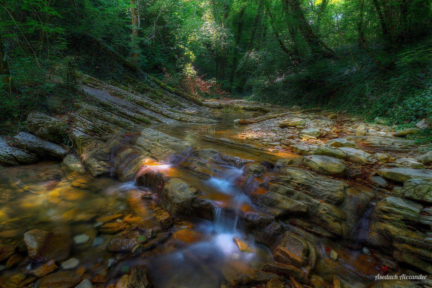 , Александр Аседач
