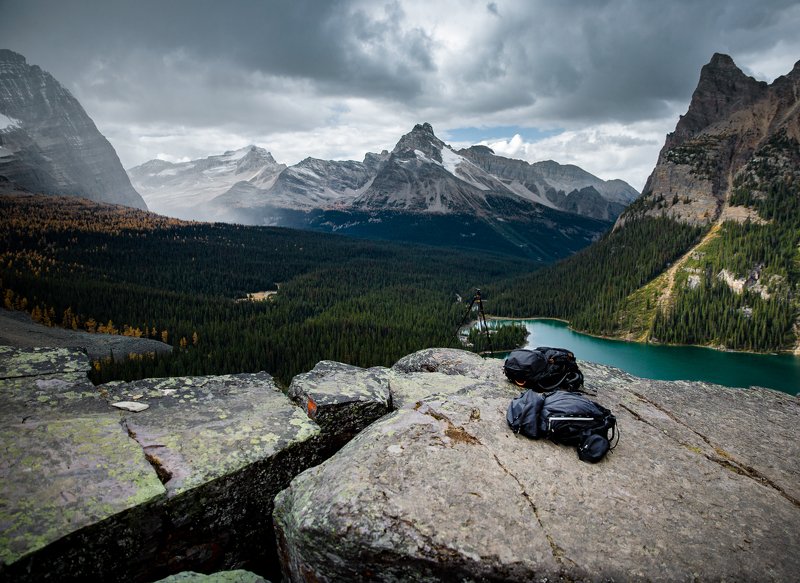 canada ,britishcolumbia ,bc ,yoho ,yohonationalpark ,lakeohara ,lakeoharapanorama ,landscape ,explorecanada ,dreamplace ,mountainpeak ,thebestplaceintheworld ,autumnincanada ,rociemountains ,canadianrockies ,parkscanada ,canadianphotography ,wildplaces ,c Lookout фото превью