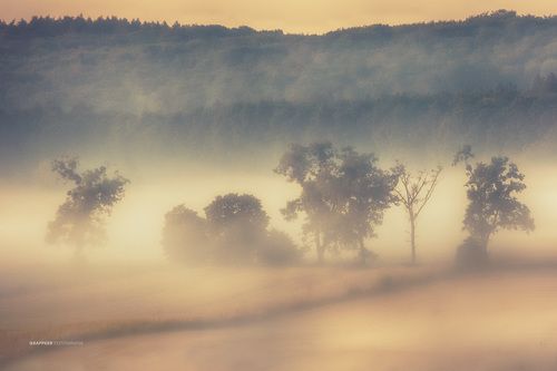 summer (foggy) morning...