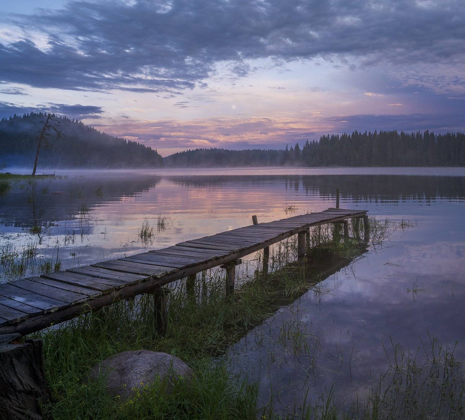 , Albena Andonova-Asa
