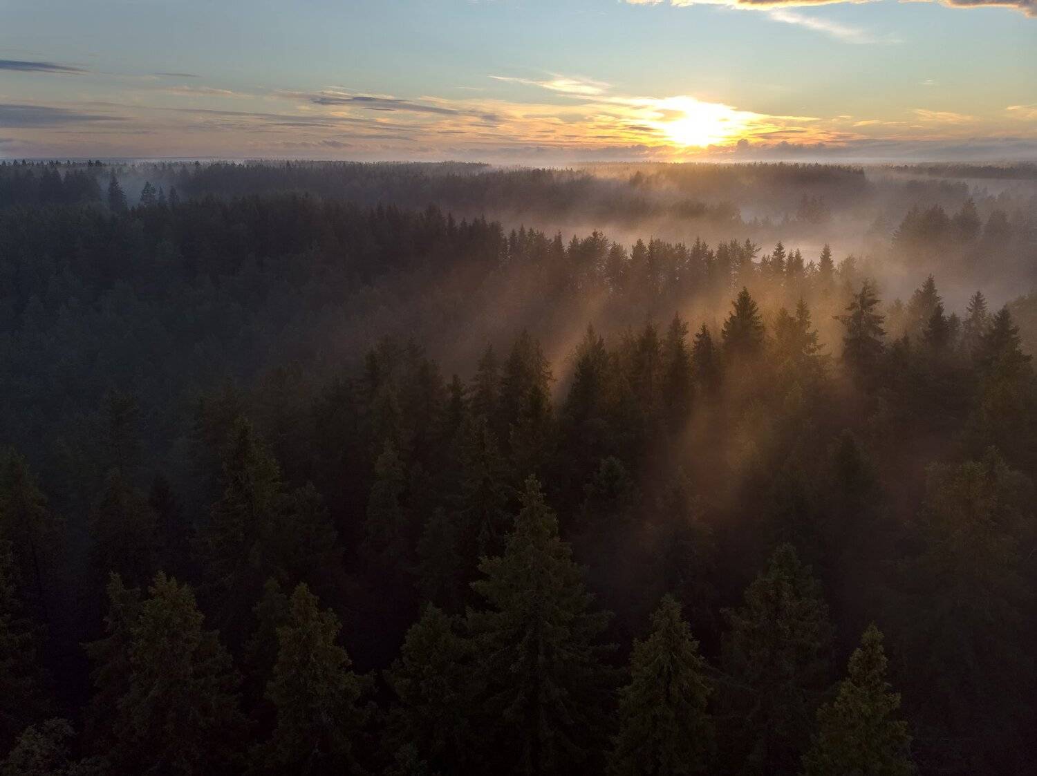 , Рут Андрей