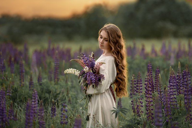 портрет, девушка, женский, портрет, закат В люпиновых полях фото превью