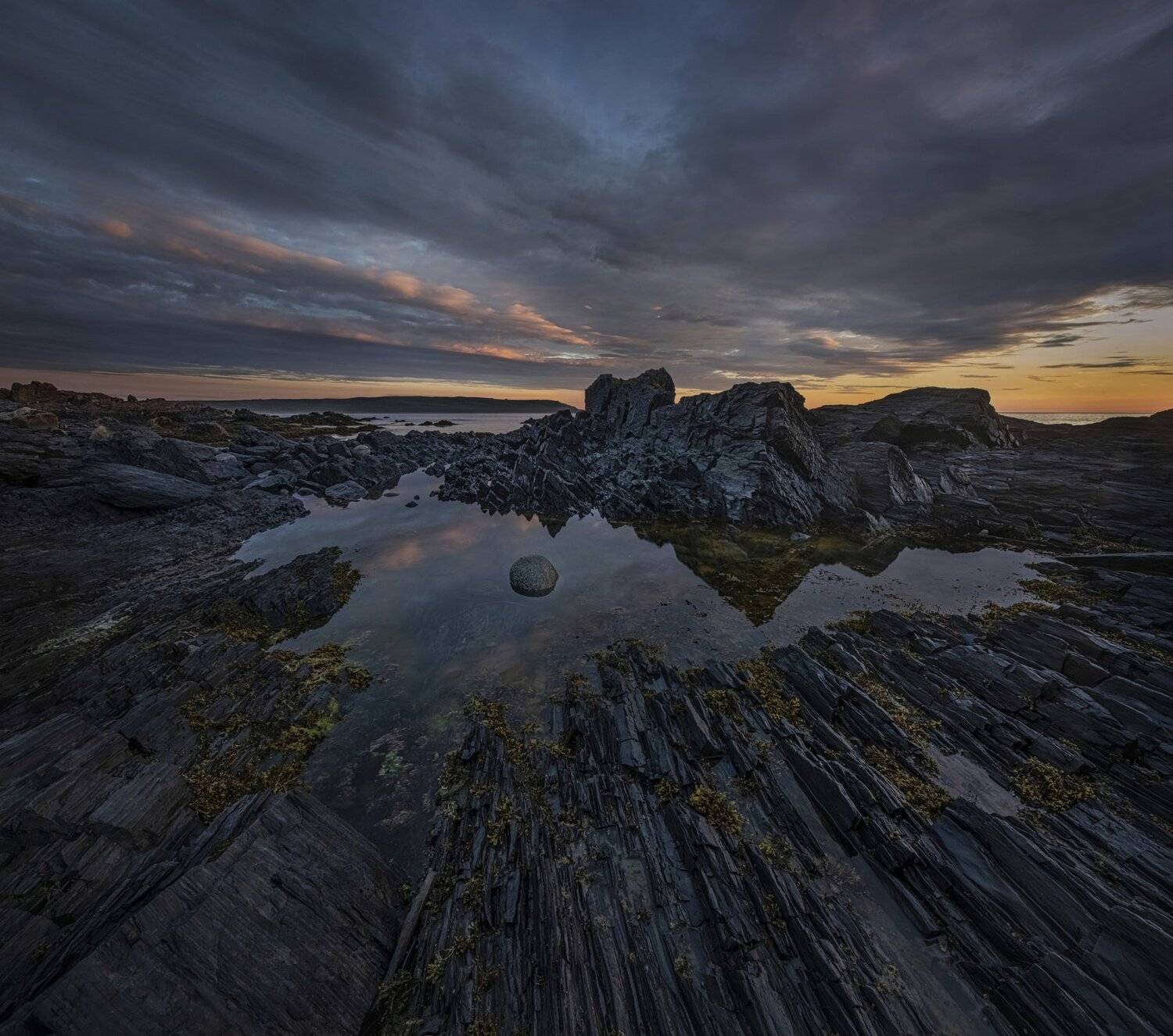 , Елена Ермолина