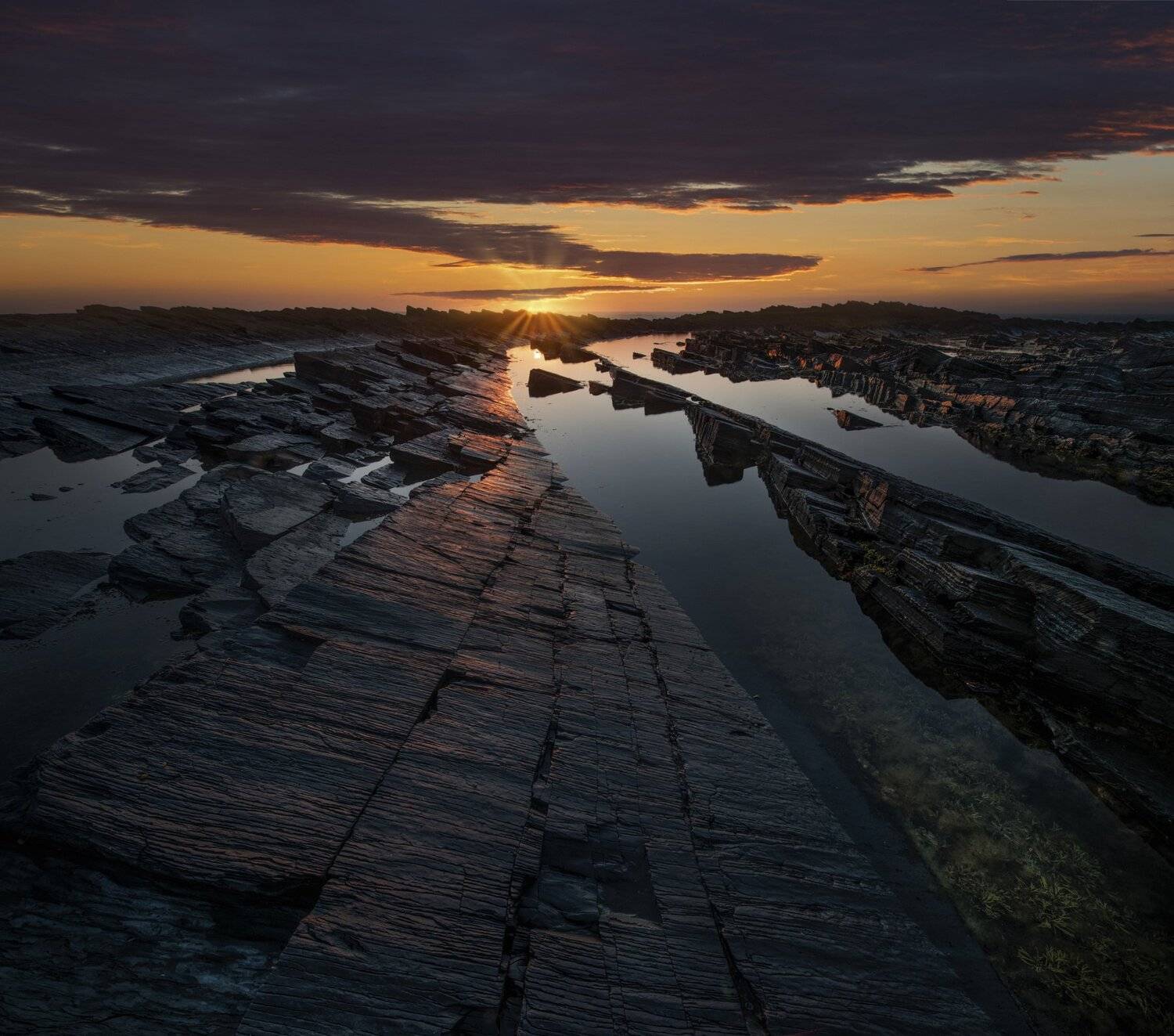 , Елена Ермолина