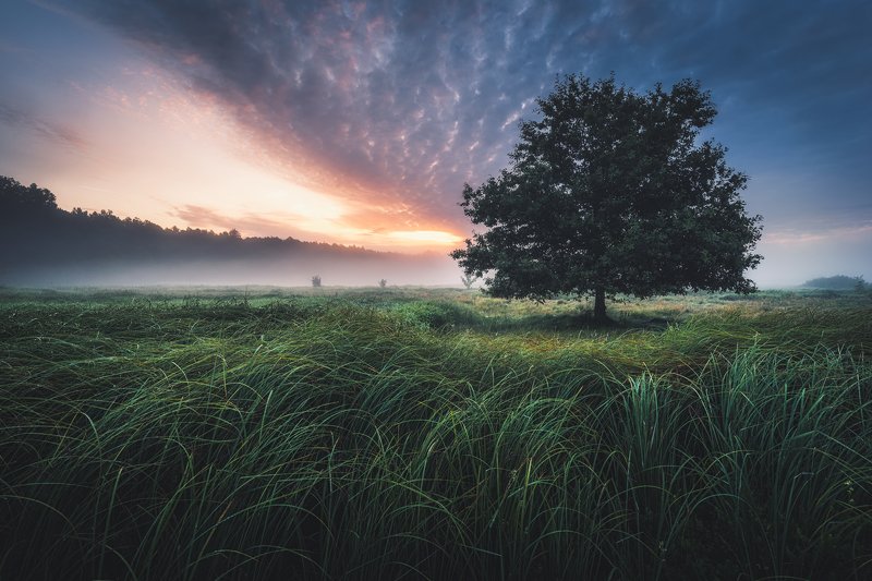 Spala Landscape Park фото превью