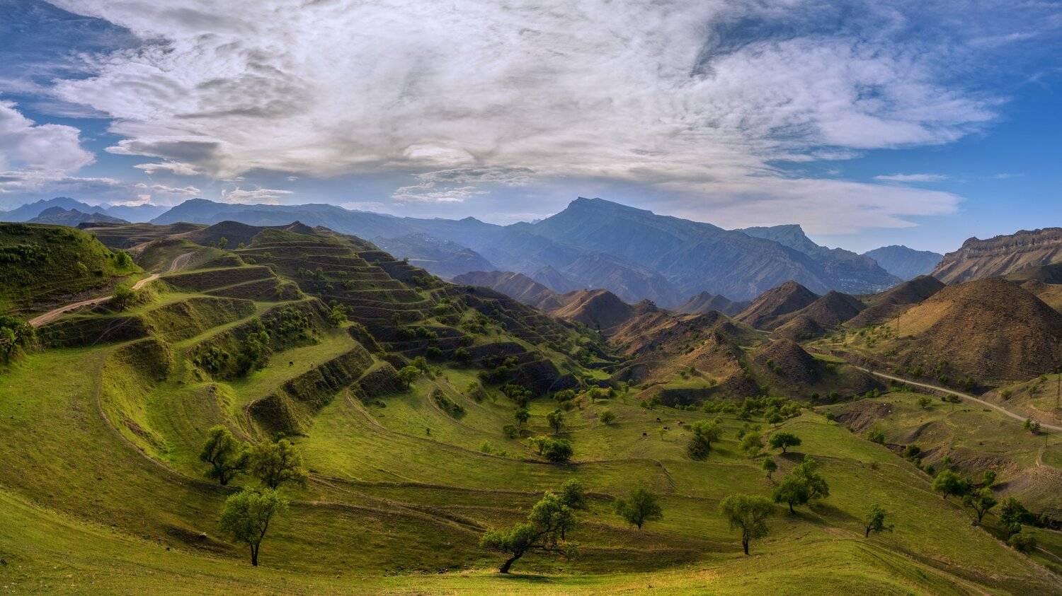 , Юлия Шумляева