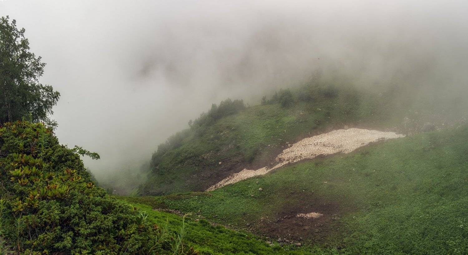 , Игорь Мелекесцев