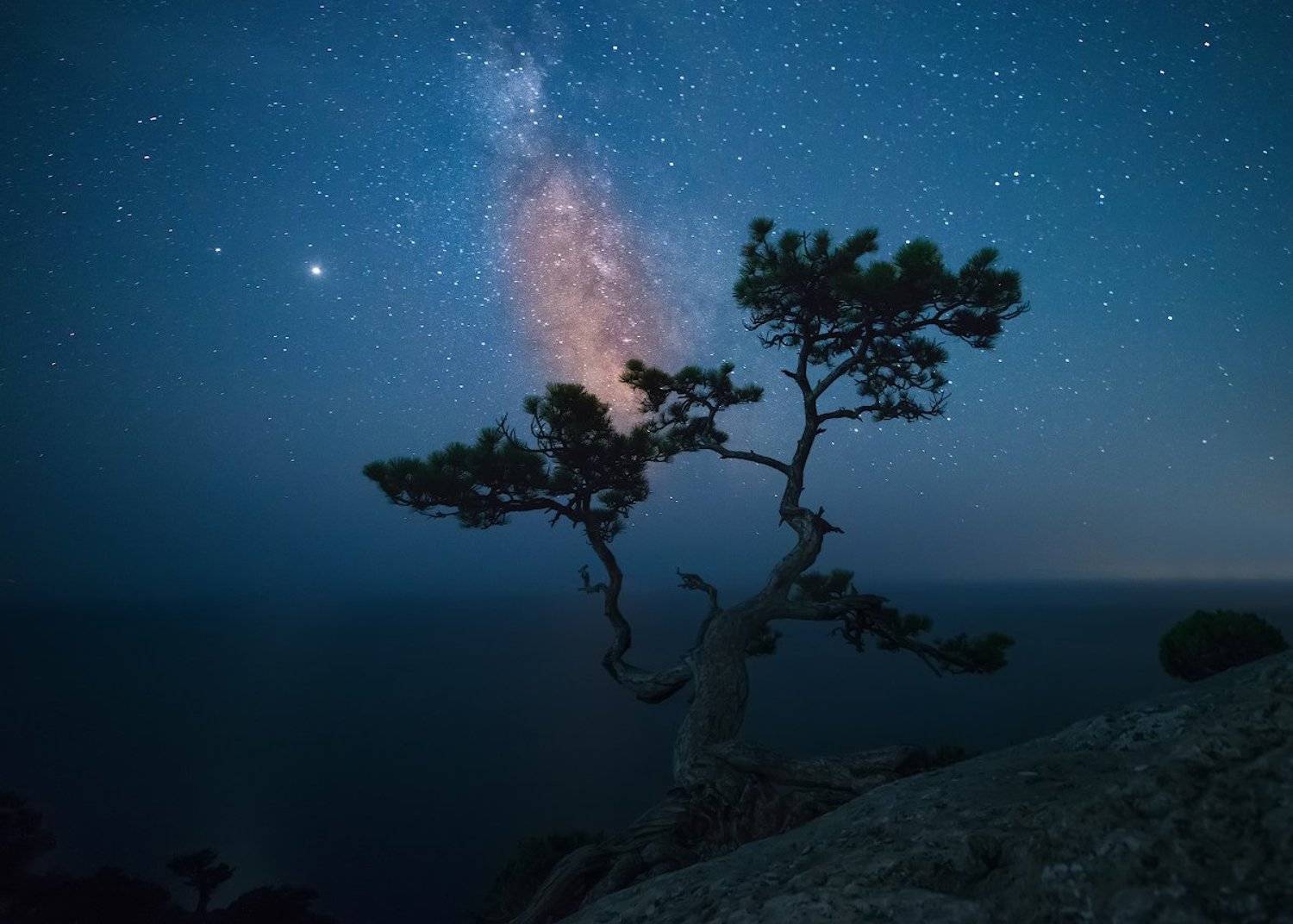 , Романский Владимир (NikonZoom)