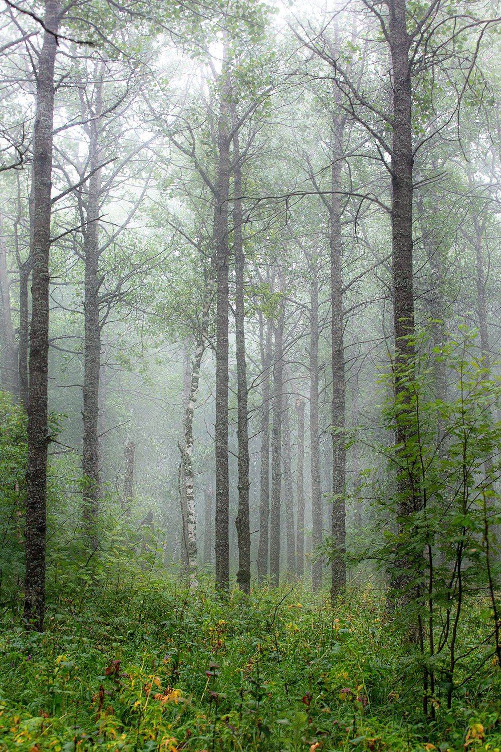 южный урал,оренбургская область, орск, новотроицк,башкирия, башкертостан, Качурин Алексей