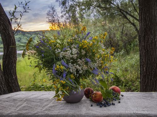Букет на закате лета