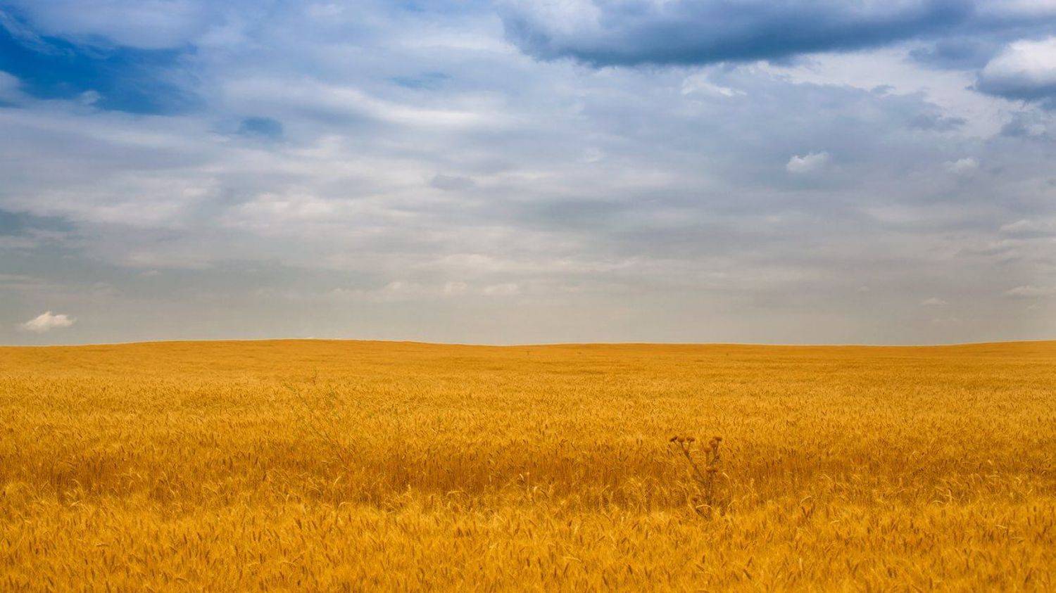 , Алексей