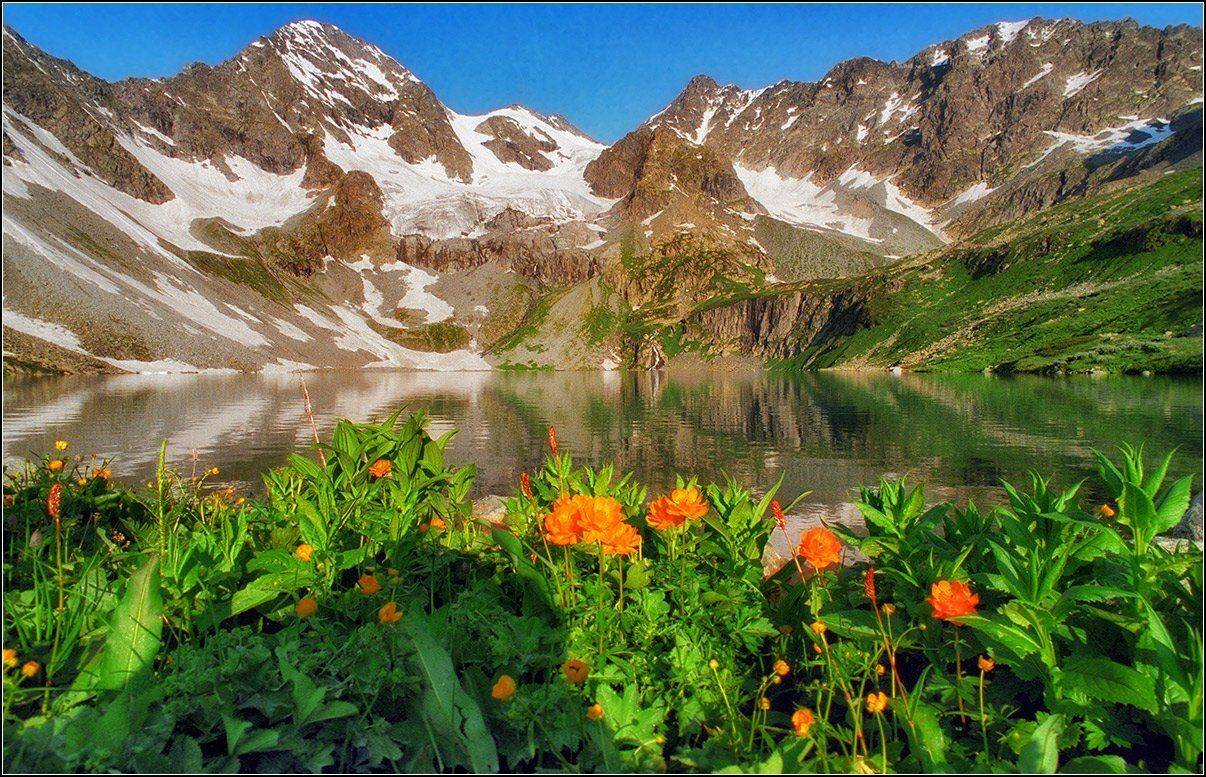 алтай, катунский хребёт, весна,  в.осиновское озеро, утро,  жарки, ледники, АНАТОЛИЙ ДОВЫДЕНКО