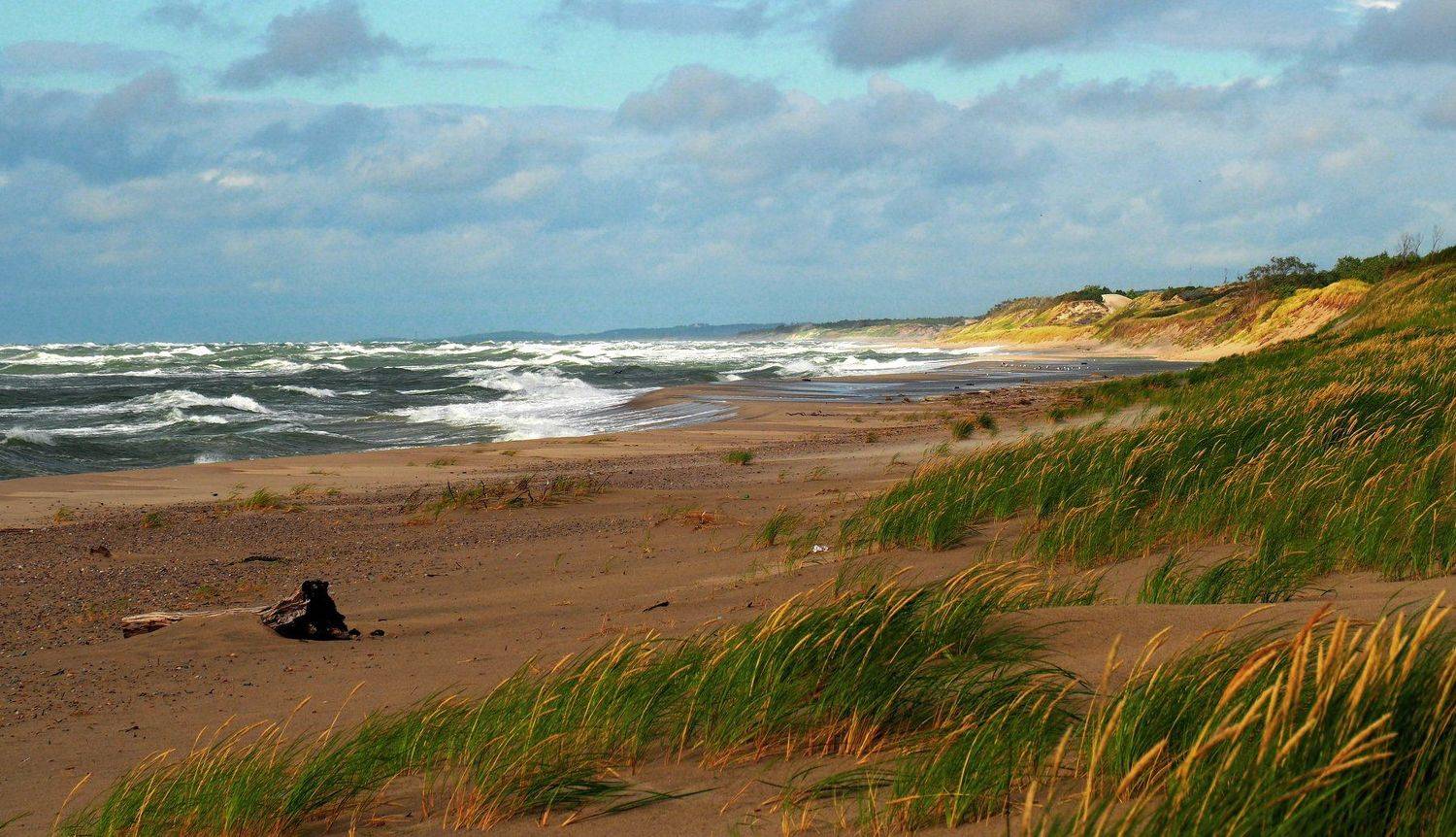 куршская коса, балтийское море., Андрей Перешеин