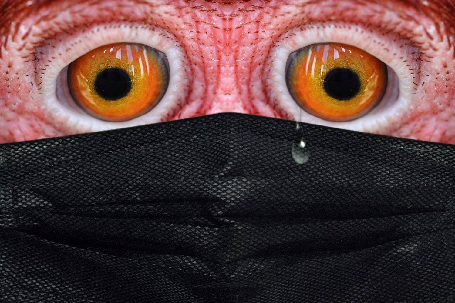 креатив, концепция, коронавирус, маска, conceptual, collage, fineart, coronavirus, covid, mask, creative, коллаж, Дмитрий Салтыков