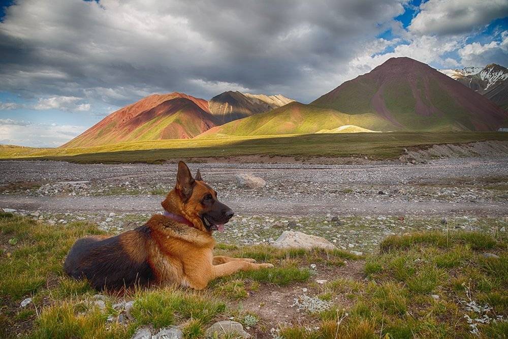 кыргызстан, горы, Элина Магалимова
