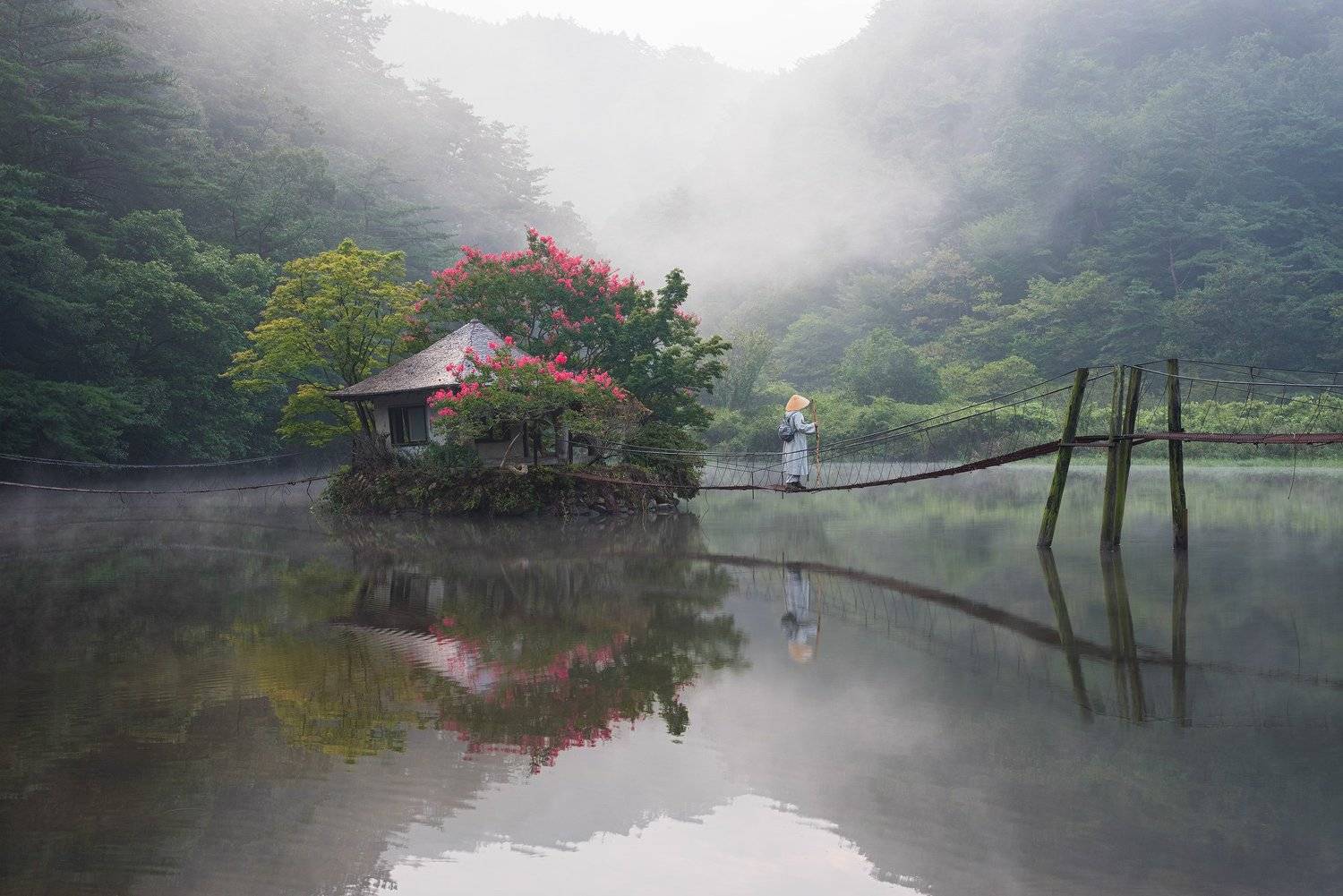 summer, forest, place, korea, blossom, pavilion, misty, reflection, garden, magic, travle, asia, Jaeyoun Ryu