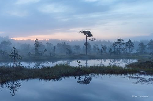 История одной бессоной ночи