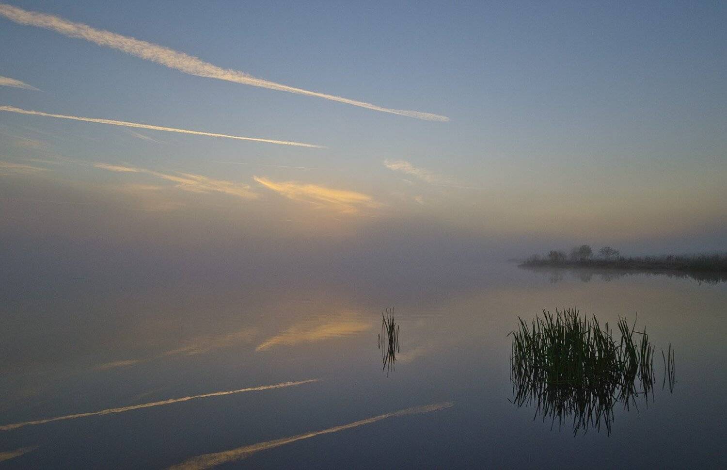 утро, туман, архангельское, Михаил Агеев