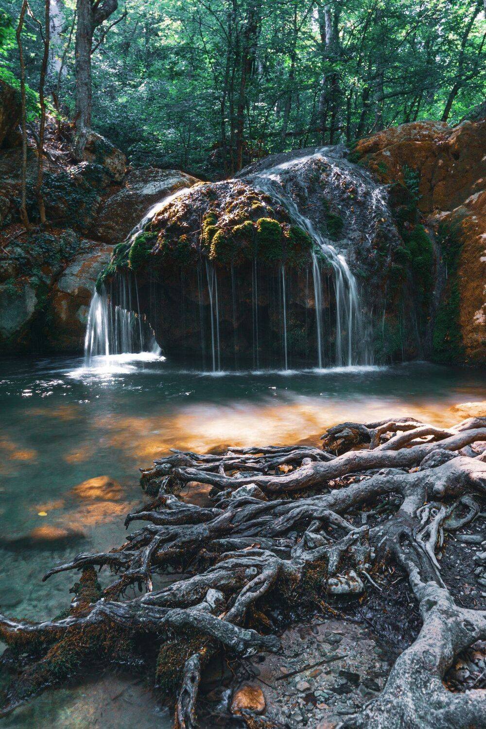 , Андрей Кривцов