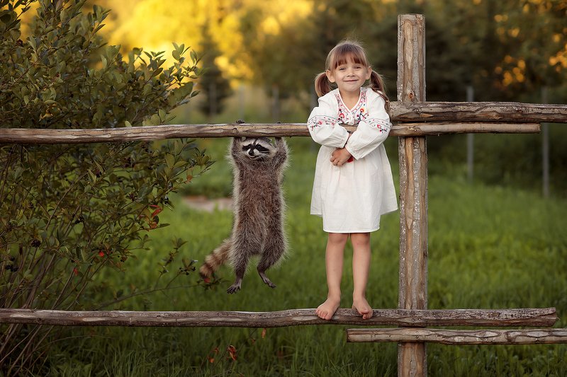 Енот, да не тот :) фото превью