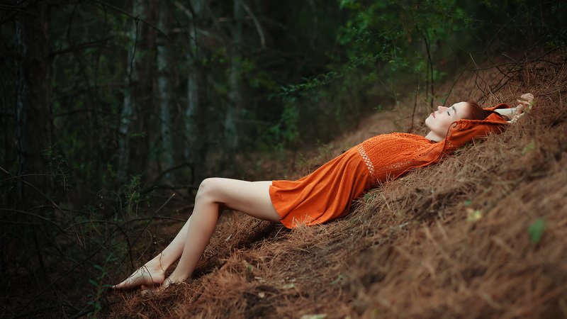 лес *** фото превью