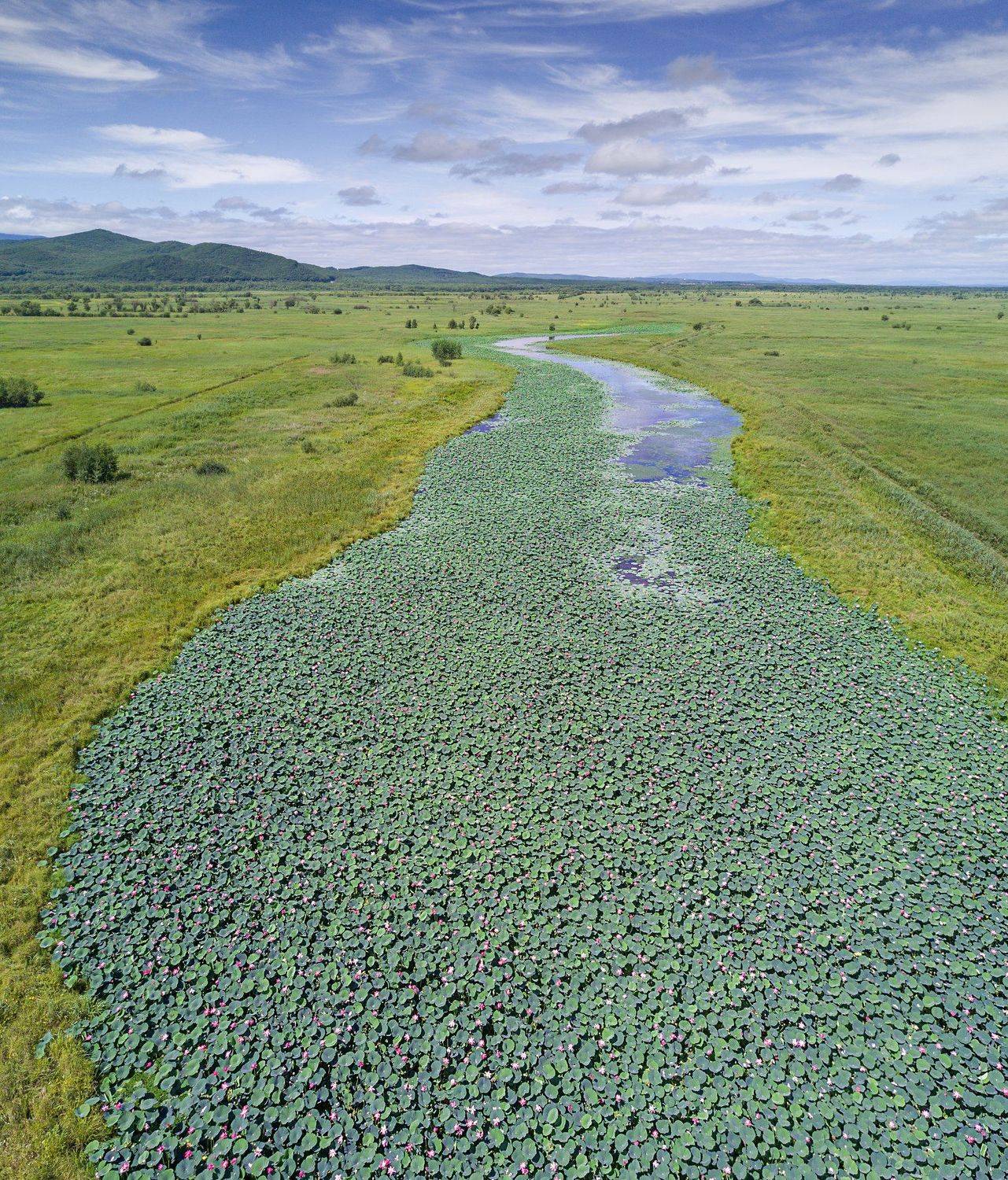 , Ольга Мусиенко