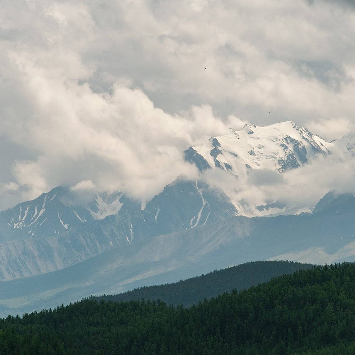 , Олег Логунов