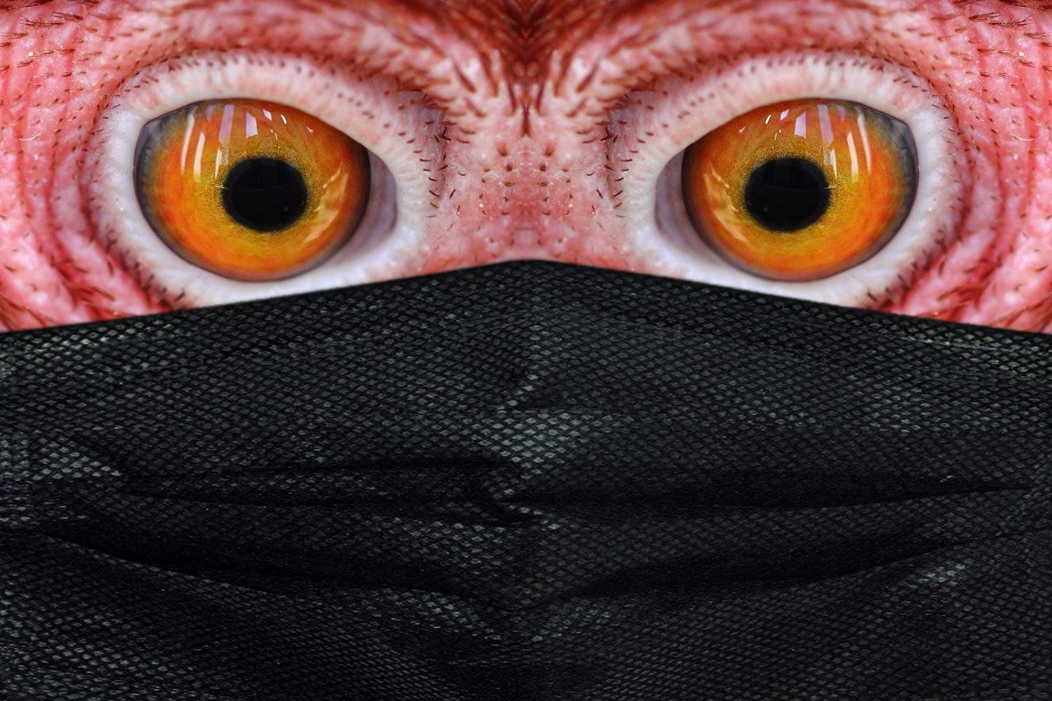 креатив, концепция, коронавирус, маска, conceptual, collage, fineart, coronavirus, covid, mask, creative, коллаж, Дмитрий Салтыков