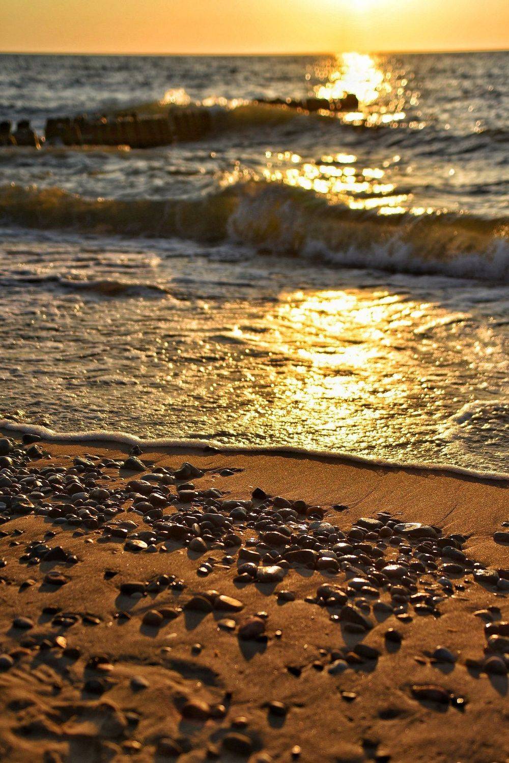 , Владимир Леликов-Кузьменко
