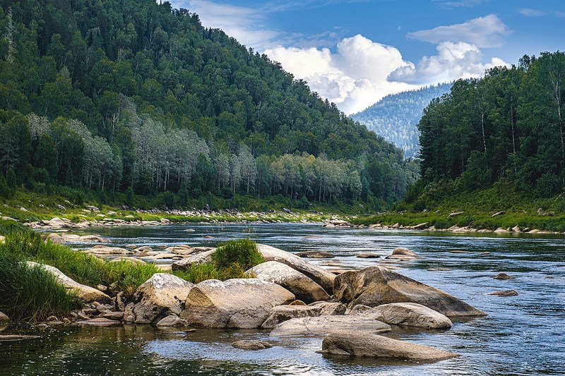 река, мрас-су, хомутовские, пороги, камни, скалы, тайга, лес, природа, небо Нижняя граница Хомутовских порогов на реке Мрас-Су фото превью