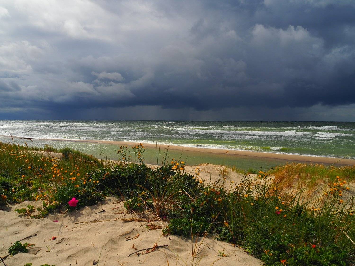 , Андрей Перешеин