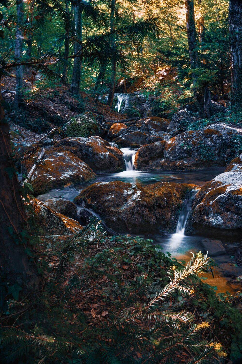 , Андрей Кривцов