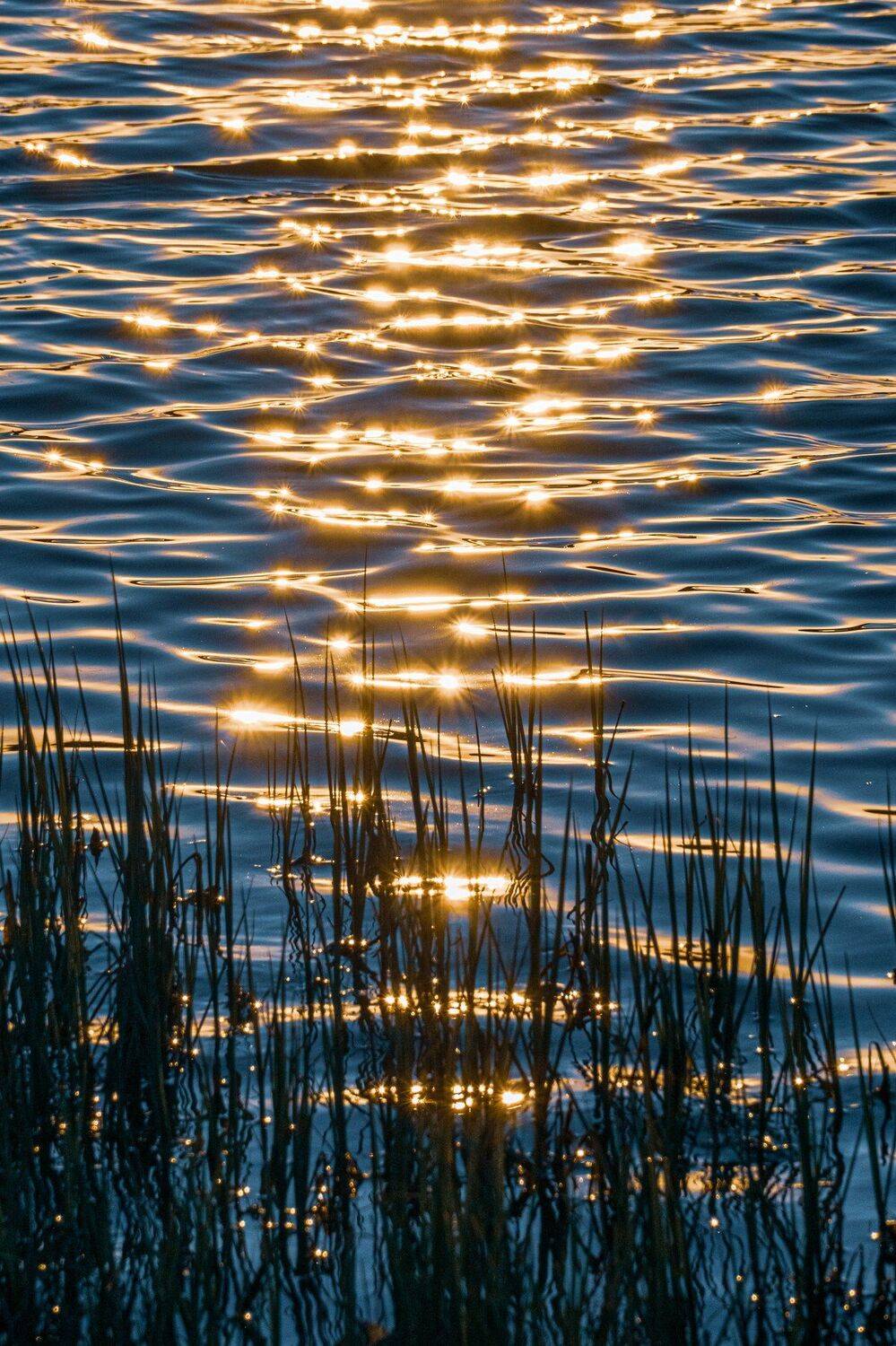 , Андрей Кривцов