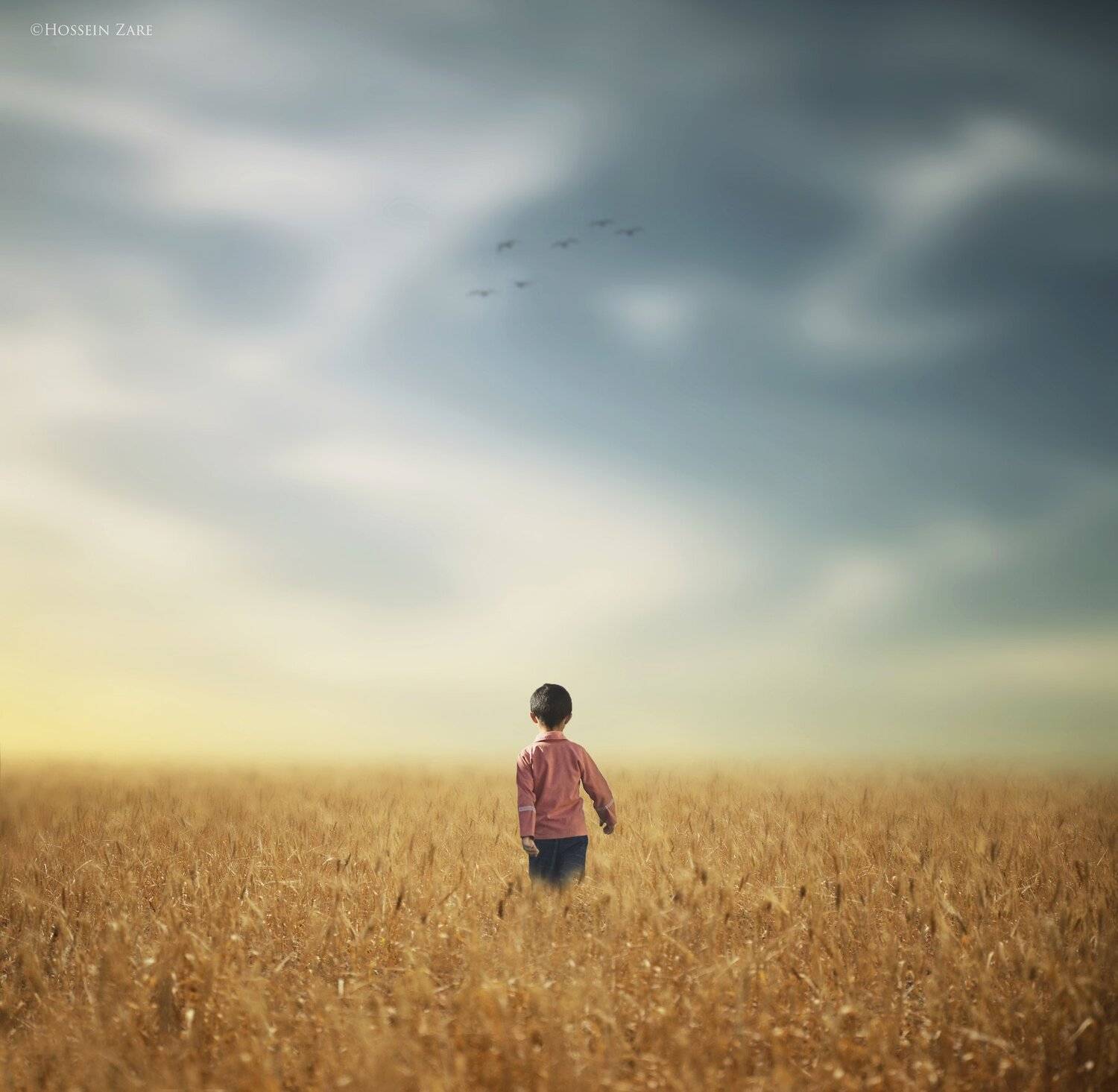 , Hossein Zare
