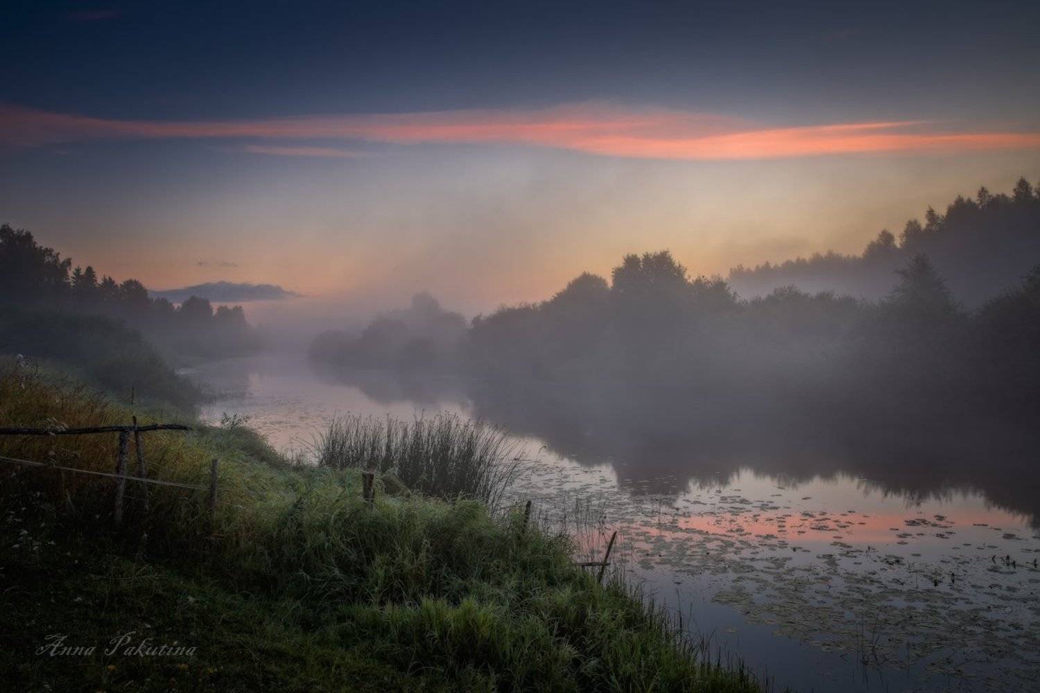 , Анна Пакутина