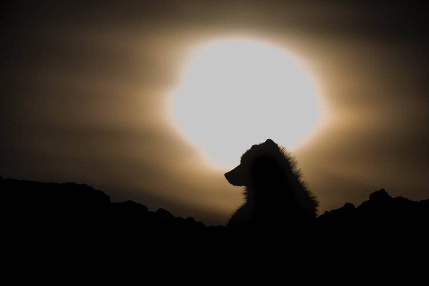 , Иван Кислов