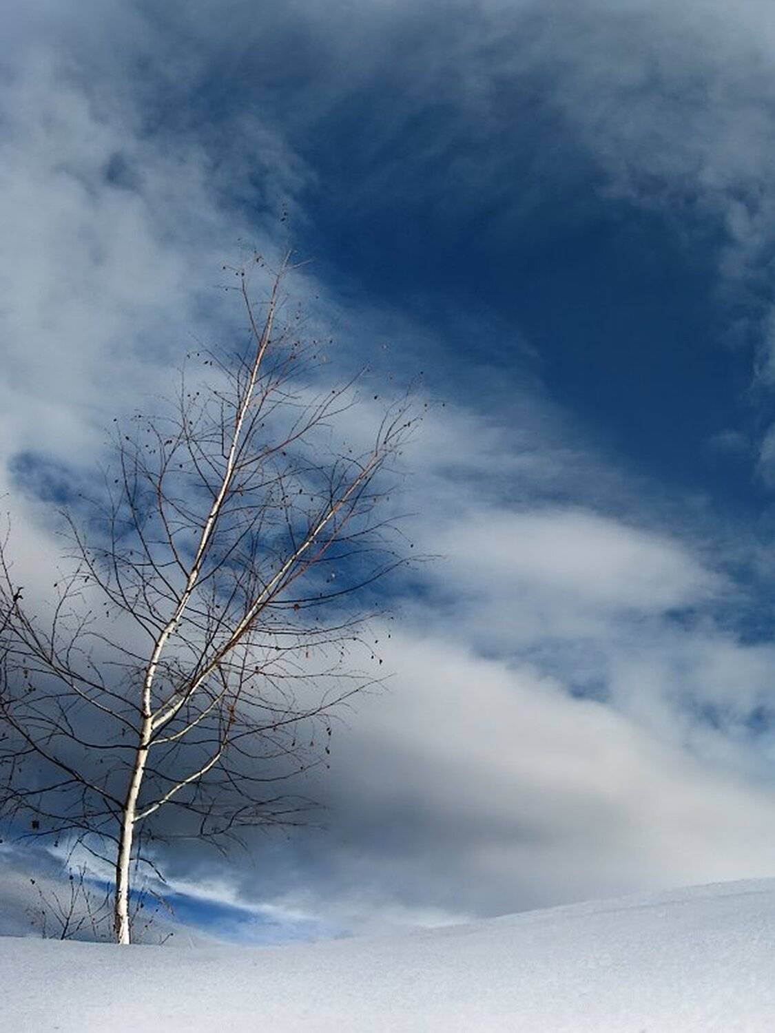 , Ирина Костова