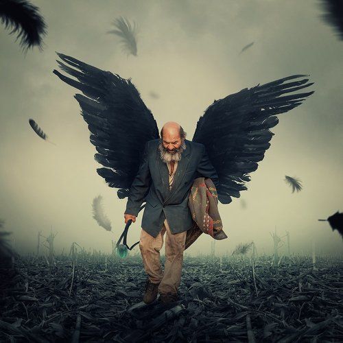 The broken wings