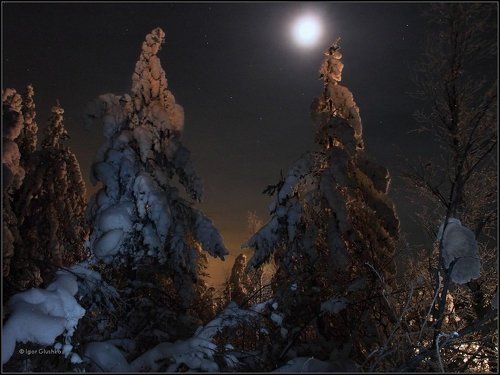 Подлунная