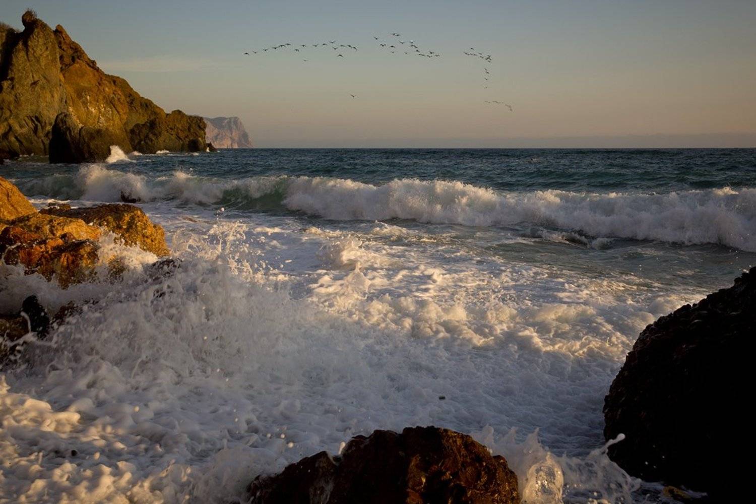 берег, море, вода, камни, мыс фиолент, небо, птицы, стая, волны, пейзаж, природа,, Сергей Шульга
