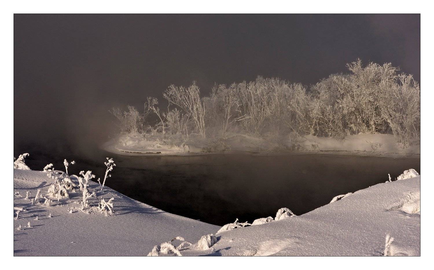 вода, туман, берег, деревья, Криволуцкий Игорь