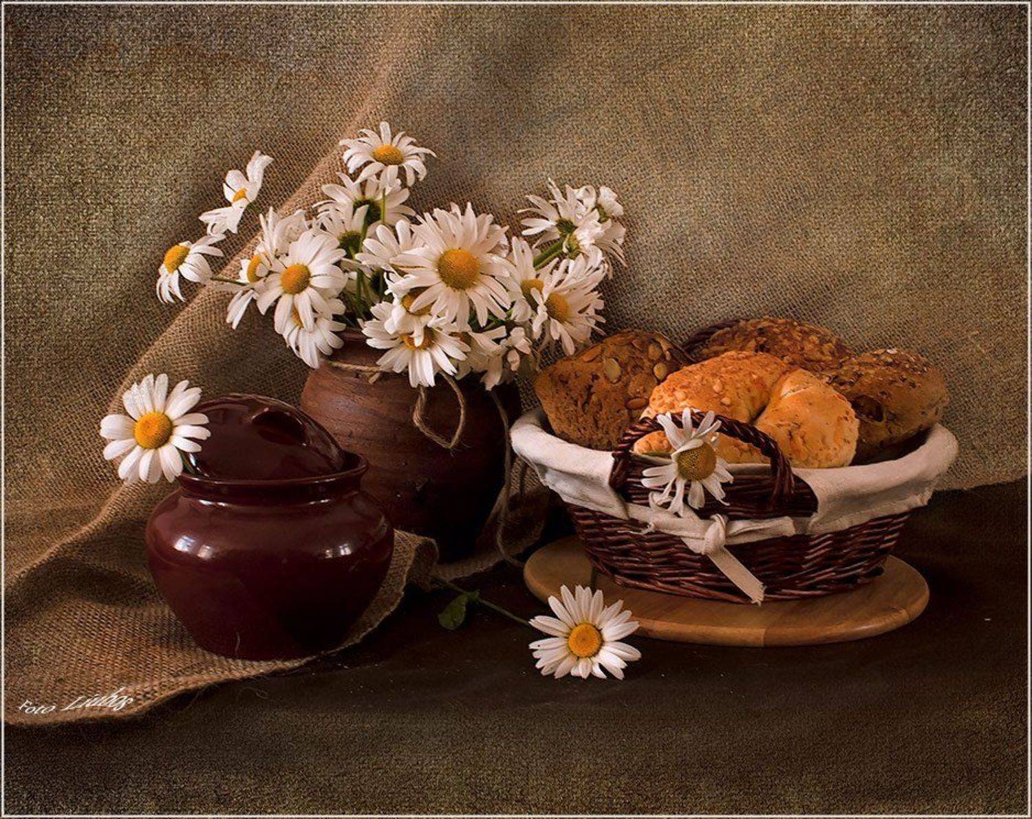 foto liubos, натюрморт, ромашки, Любовь Селиванова
